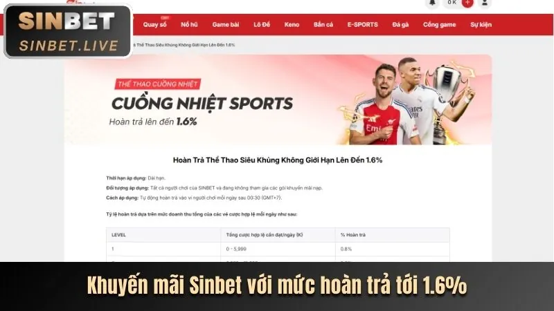 Chiến lược cá cược thể thao tại 8win55